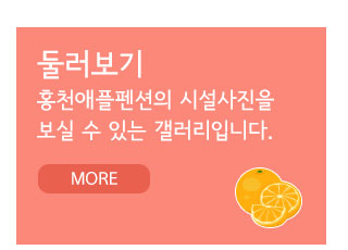둘러보기